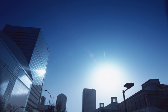 税理士事務所に期限後申告を依頼した法人